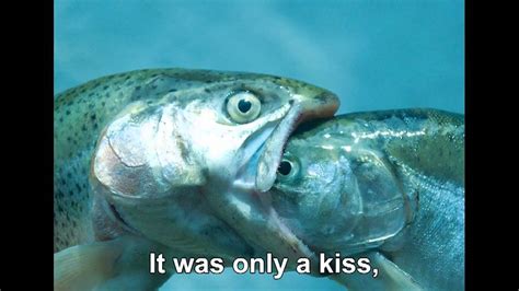 fish kiss meme